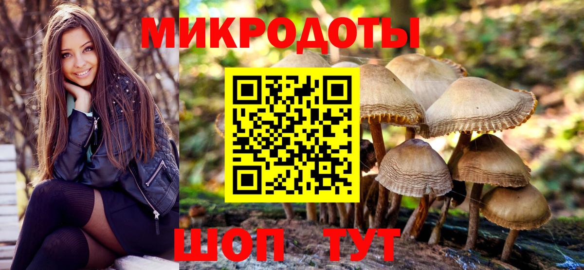 Псилоцибиновые грибы Magic Shrooms Касимов