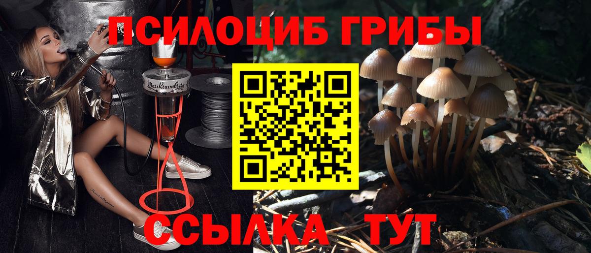 Галлюциногенные грибы Magic Shrooms  Вход с VPN  Псилоцибиновые грибы прущие грибы  Касимов 